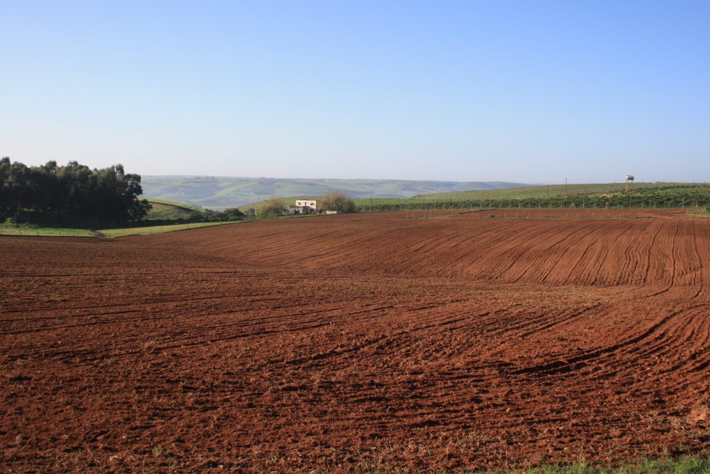 Le prix des terres agricoles en France ⋆ ConsoLocale.com